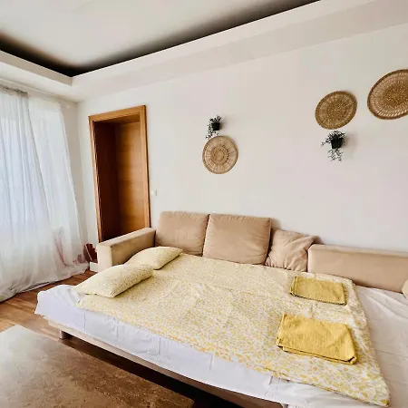 Sunny App * Ljubljana